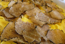fiera-del-tartufo-4
