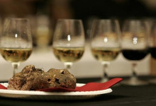 fiera-del-tartufo-5